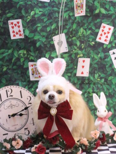 20250425マロ太くん